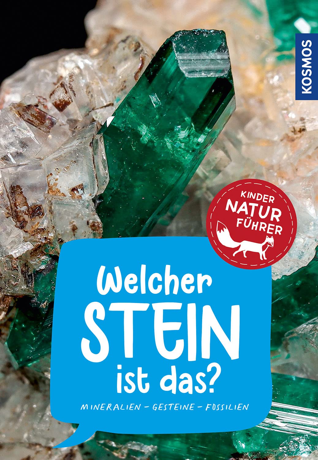 Welcher Stein ist das? Kindernaturführer: 85 Mineralien, Gesteine, Fossilien. Richtig Bestimmen, Spaß in der Natur, die Welt der Mineralien und Gesteine entdecken.