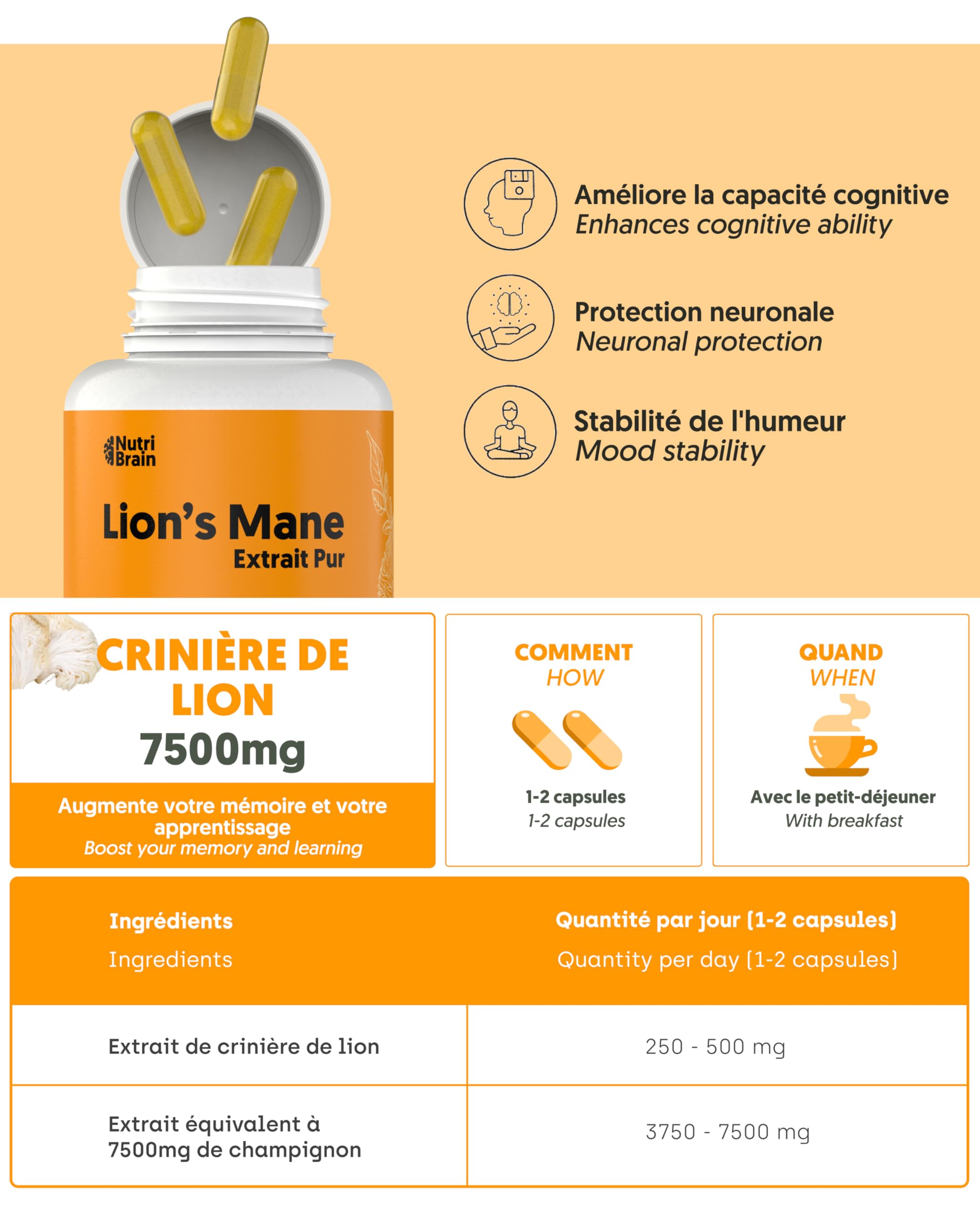 Lions Mane Pure 7500mg (2x1) Ultra-concentrée 50% | Nootropic : Mémoire, Concentration et Santé Cérébrale | Amélioration Cognitive à Long Terme | Bien-être Émotionnel et Gastro-intestinal | 140 Caps