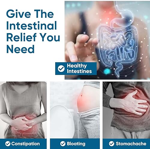 Miniatura 6 de VIVALIFER Naturals Akkermansia Probiotic 300 millones de AFU - para la salud digestiva, inmune y general, apoyo intestinal y GLP-1, 120 cápsulas