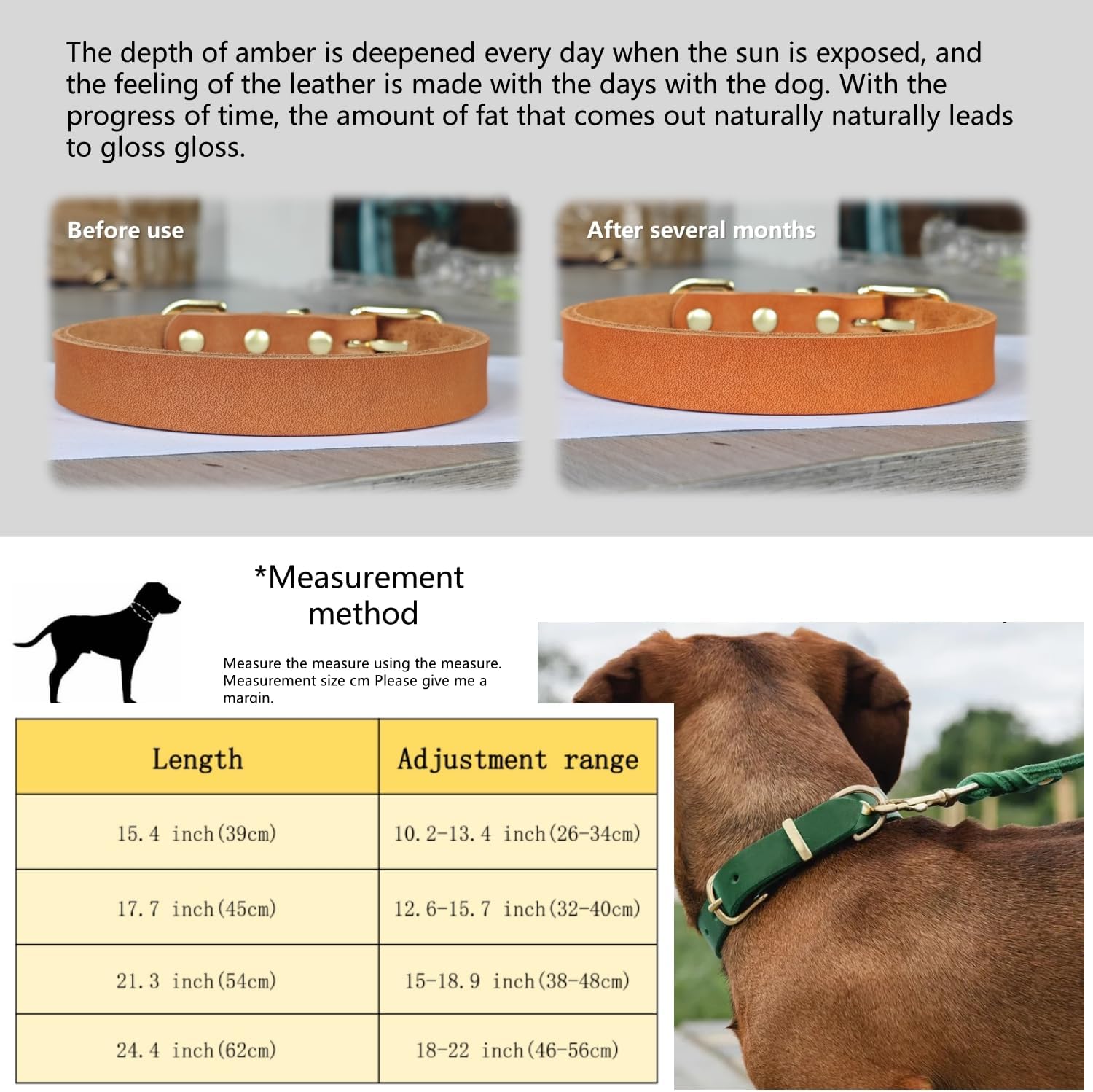 TSD Genuine Leather Dog Collar Personalized Custom Engraved with Pet Name & Phone Number Adjustable Collars for Small Medium Large Dogs Cats Fashion Comfortable