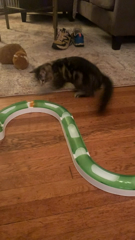 video
