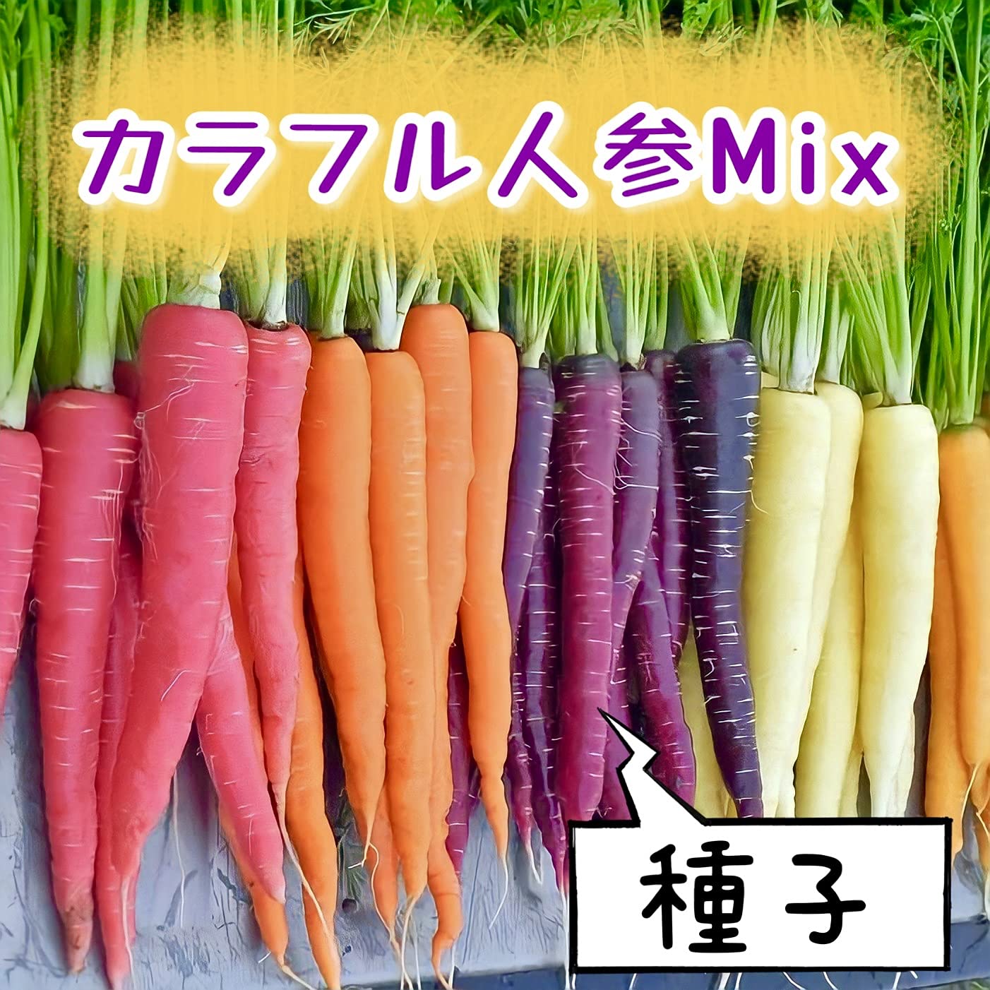 にんじんクレヨン 楽天市場】クレヨン ドットベジタブルシリーズ 6本セット