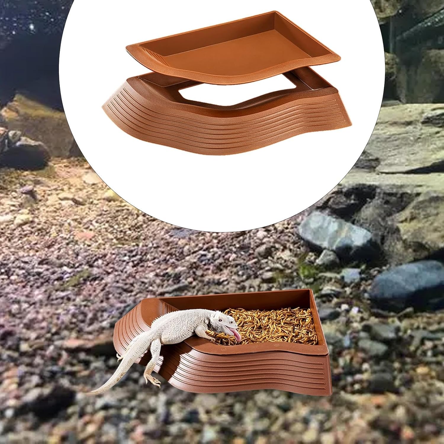 Large Reptile Pool for Bathing and Feeding, Water Dish for Tortoise Snake Lizard, 14.37x11.42x1.77 inch