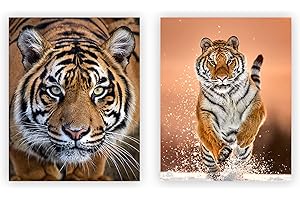 Majestic Tiger Pictures Wall Decor - A Fierce Addition to Your Space