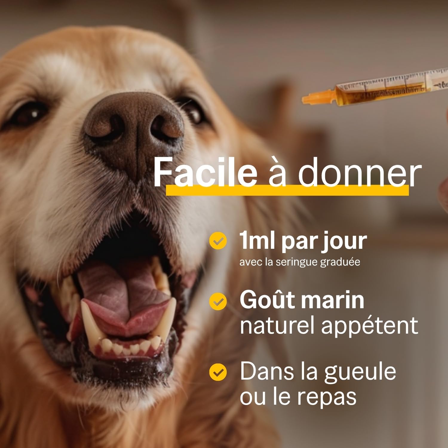 PERNIXOL®420 - Soutien articulaire Chien +20kg - Huile de Moule Verte & Oméga-3 - Mobilité et Confort - Cure 3 Mois (Lot de 3)