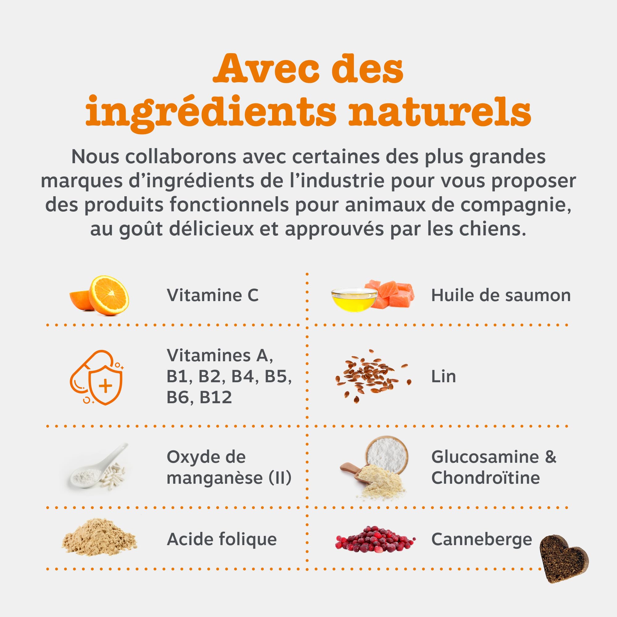 Zesty Paws Bouchées Multifonctions 9-en-1 Chien Senior | Articulations, Yeux, Cerveau, Cœur et Immunité | Vitamines A, B3, B5, C, Acide Folique, Biotine | Usage Quotidien | 90 Bouchées