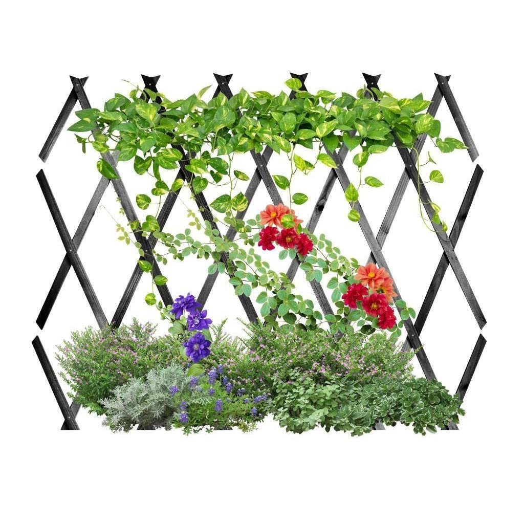 Expanding 6ft Wooden Trellis Climbing Plants Fence Panel Screening Lattice UK (Dark Grey 180 x 90cm)