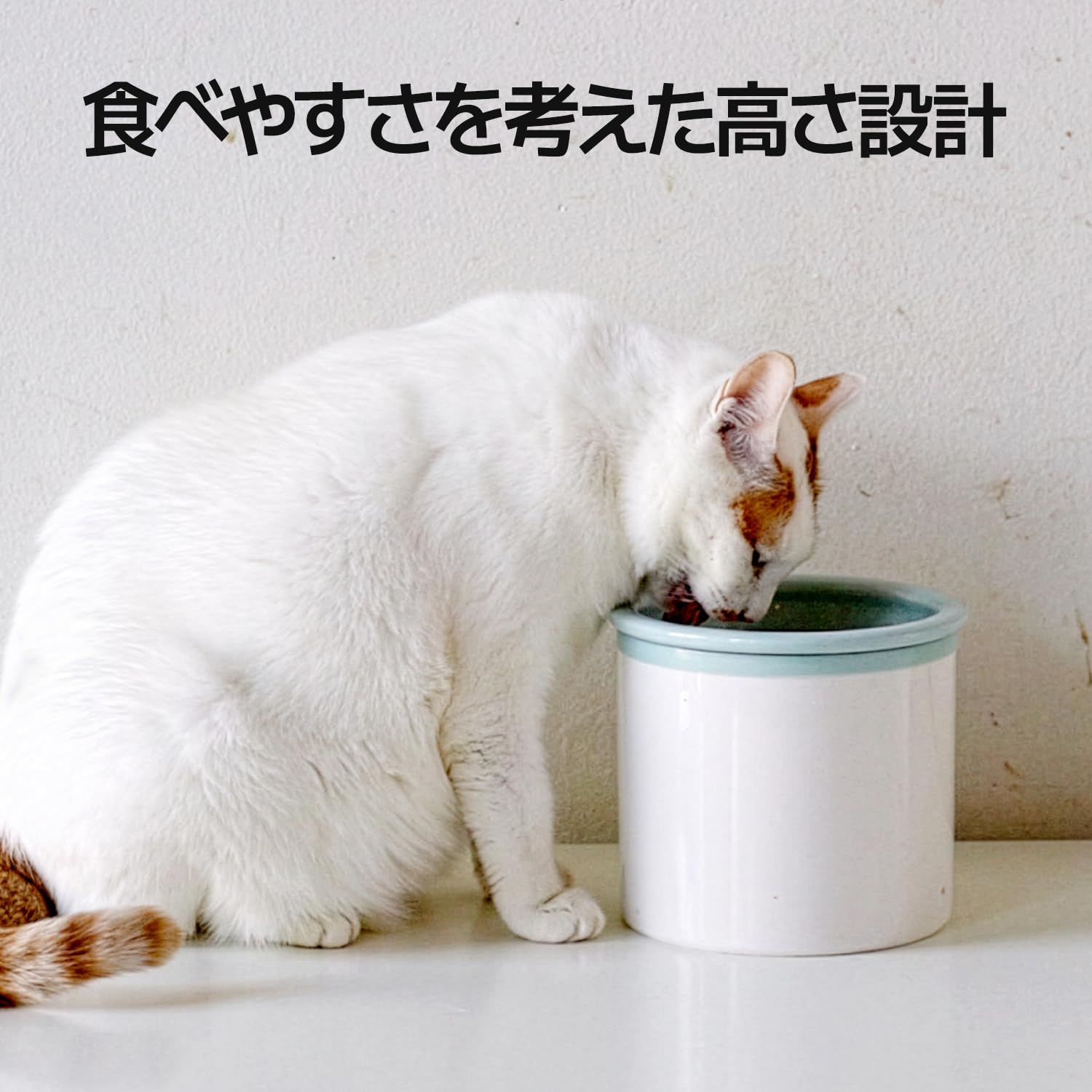 Amazon | BOWLBOWL 高さ10cm 小型犬 猫 用 食器 韓国製 プレミアム