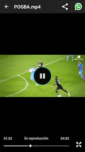 VIDEO SOCCER STARS