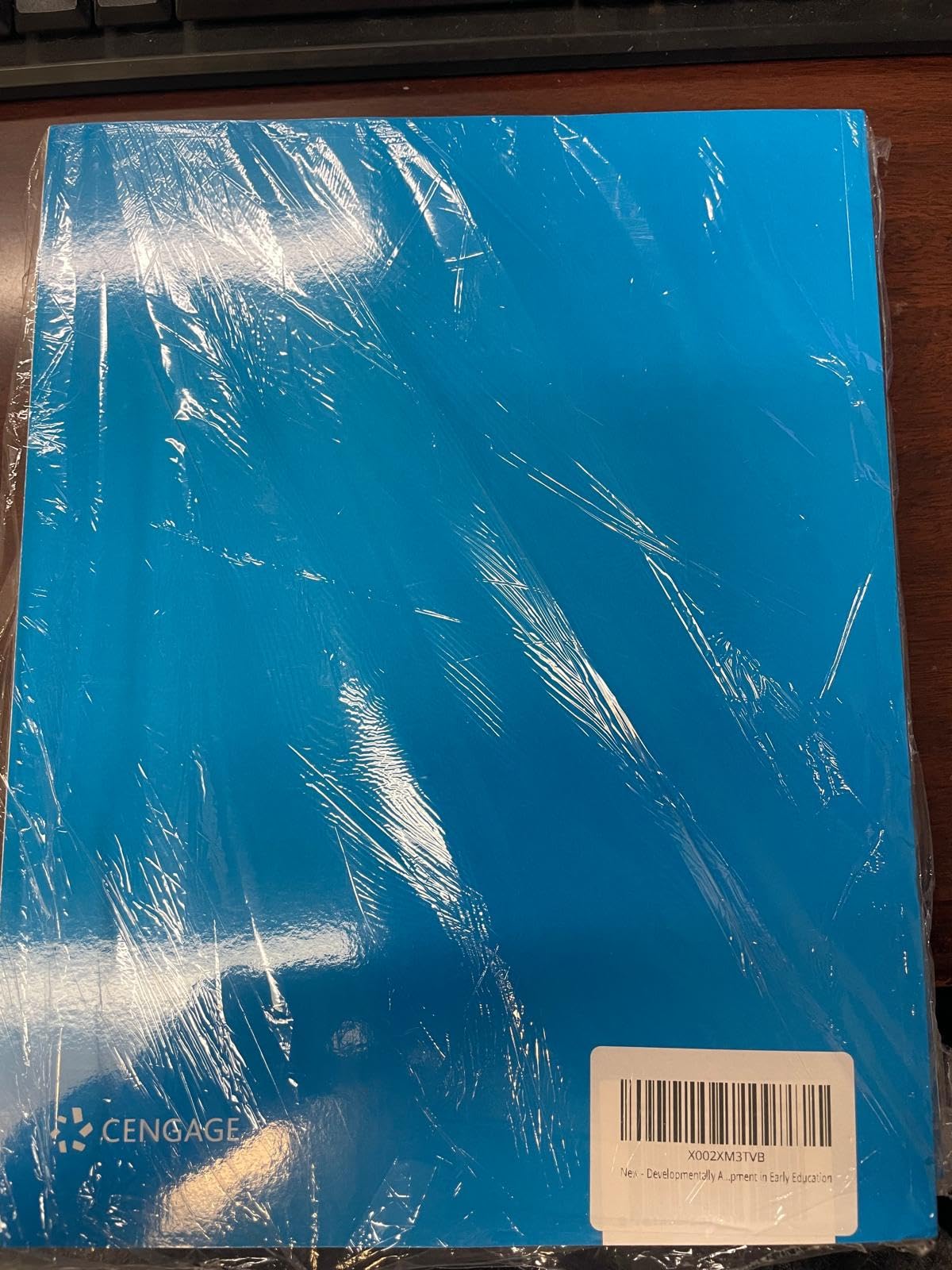 Developmentally Appropriate Practice: Curriculum and Development in Early Education - Image 2