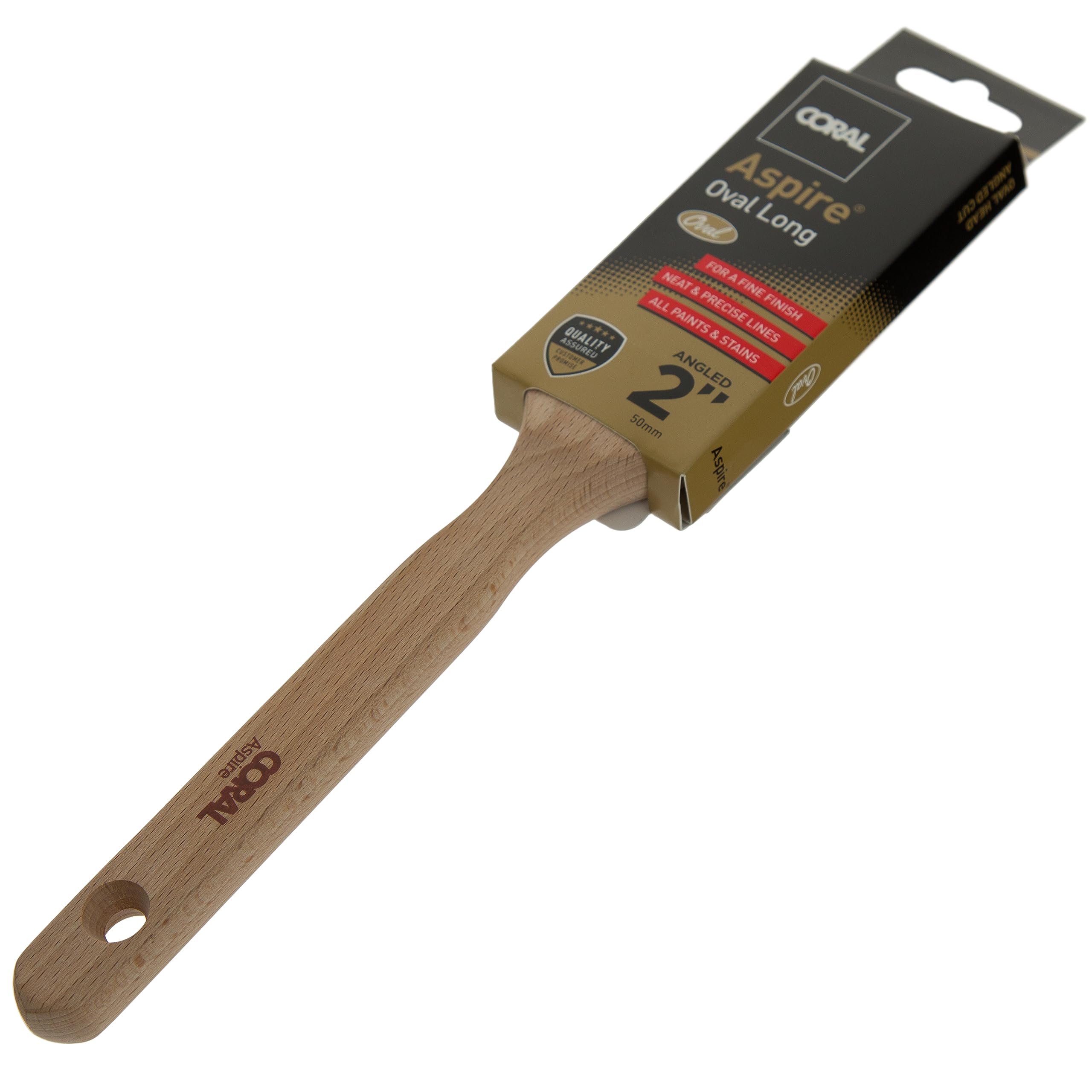 Coral 31773 Pinceau Ovale Incliné 50 Mm – Long Manche Américain – Filaments Micro-pointes – Manche Hêtre FSC