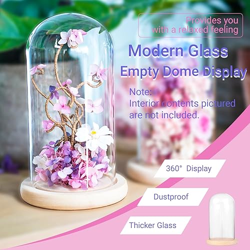 Miniatura 2 de Ivolador - Cúpula de cristal de 7 x 4 pulgadas con base de madera maciza, gran tamaño, oficina, hogar, decoración