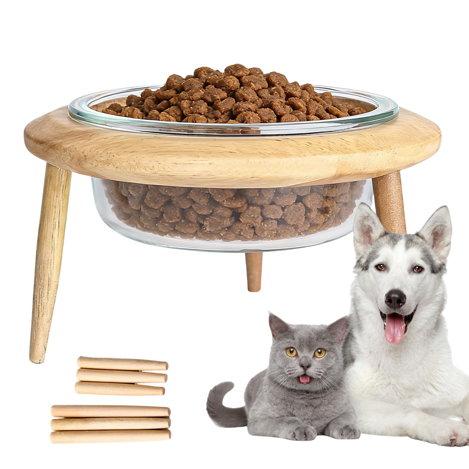 Ciotole Rialzate Gatti Mangiatoia Antirigurgito Con Supporto | Vaschetta Inclinata Per Gatti Con Altezza Regolabile Per Camera Da Sala Giochi Appartamento Area Pranzo Cucina Soggiorno