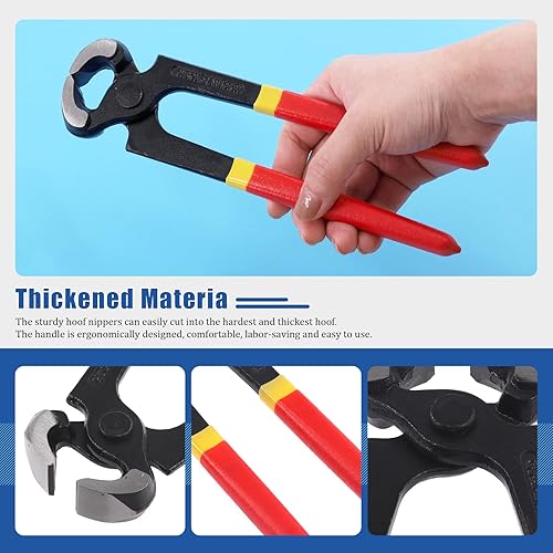 Miniatura 4 de Glarks Juego de herramientas profesionales de herrador, 5 piezas, pinzas para pezuñas, escobilla para pezuñas, cepillo de pezuñas con bolsa de