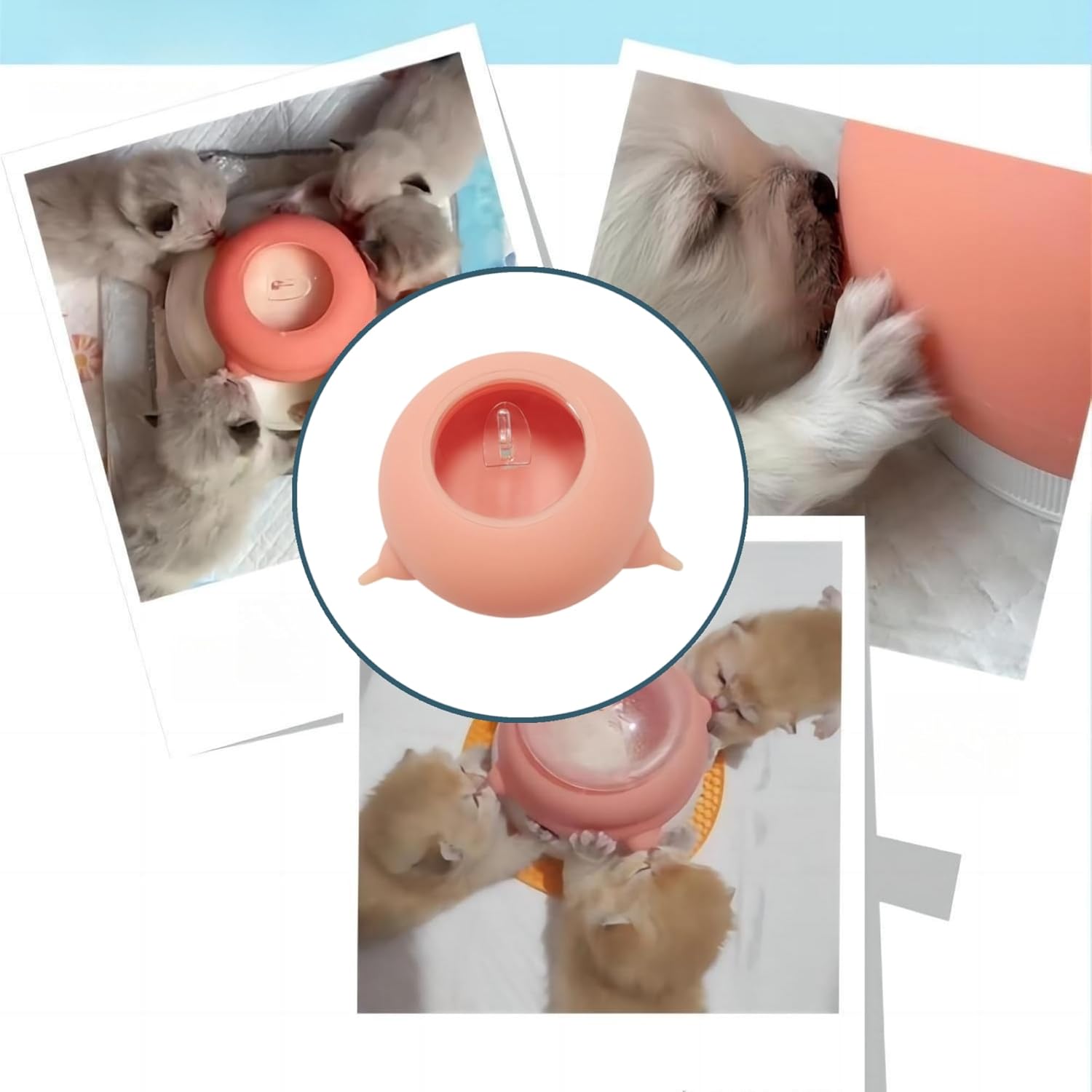 Puppy Feeder Milk Bowl, Silicone Bottle with 3 Nipples for Dogs Cats Puppies Kittens Nursing Station