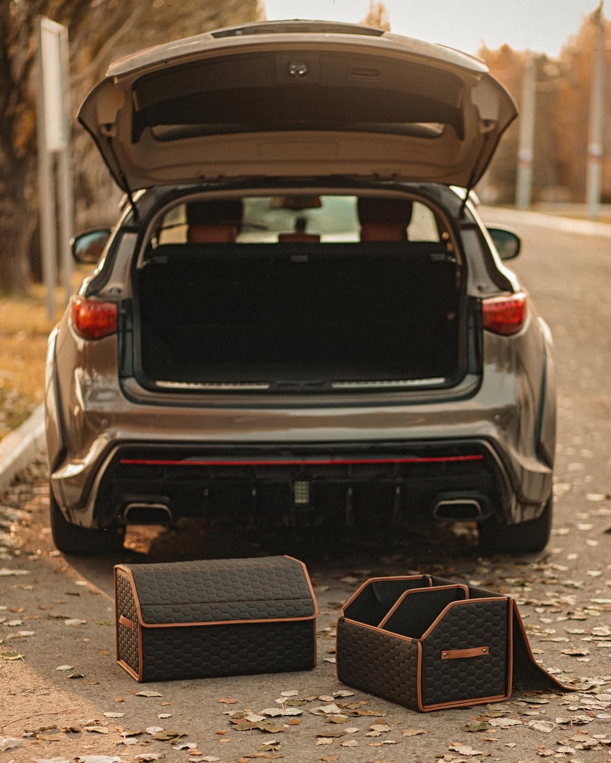 Owleys Foldable Trunk Organizer for Ford Maverick – Collapsible Cargo Storage with Lid – Small Pickup Truck Bed & Back Seat Organizer – Durable Car Storage Box (Hexy 21+17)