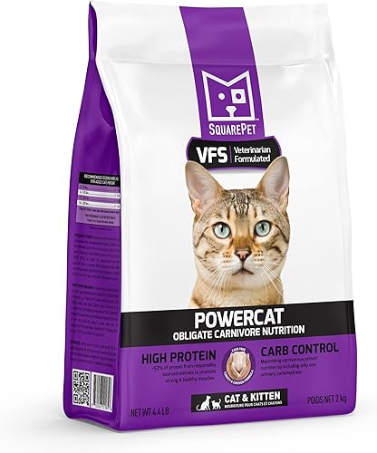 SquarePet - Felino de pavo y pollo VFS Powercat 4.4lb