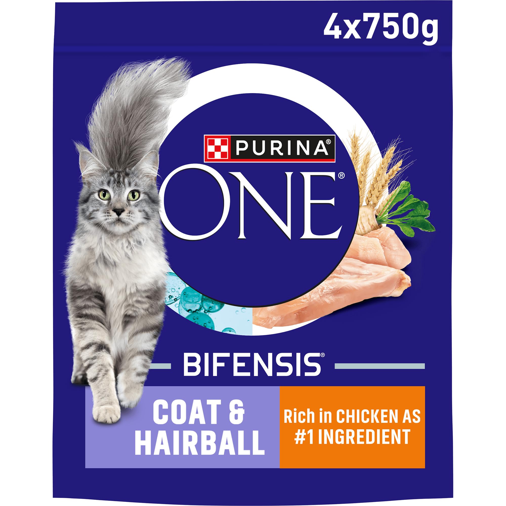 Coat and Hairball Chicken Dry Cat Food 750g (Pack of 4)