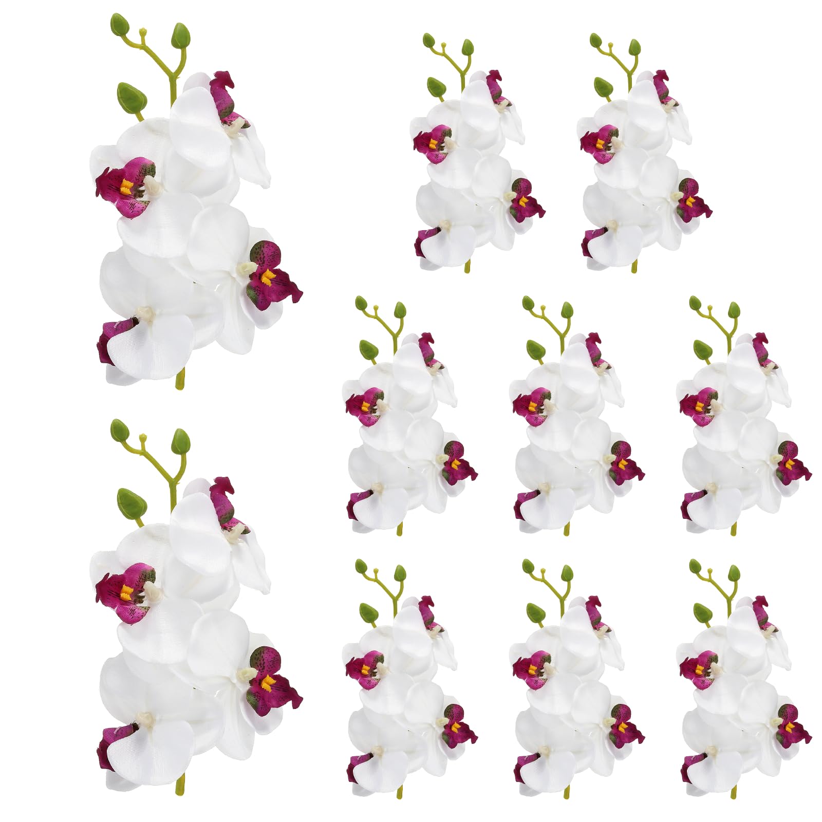 Remplisseurs de vase orchidée blanc pour éviter le flétrissement des fleurs