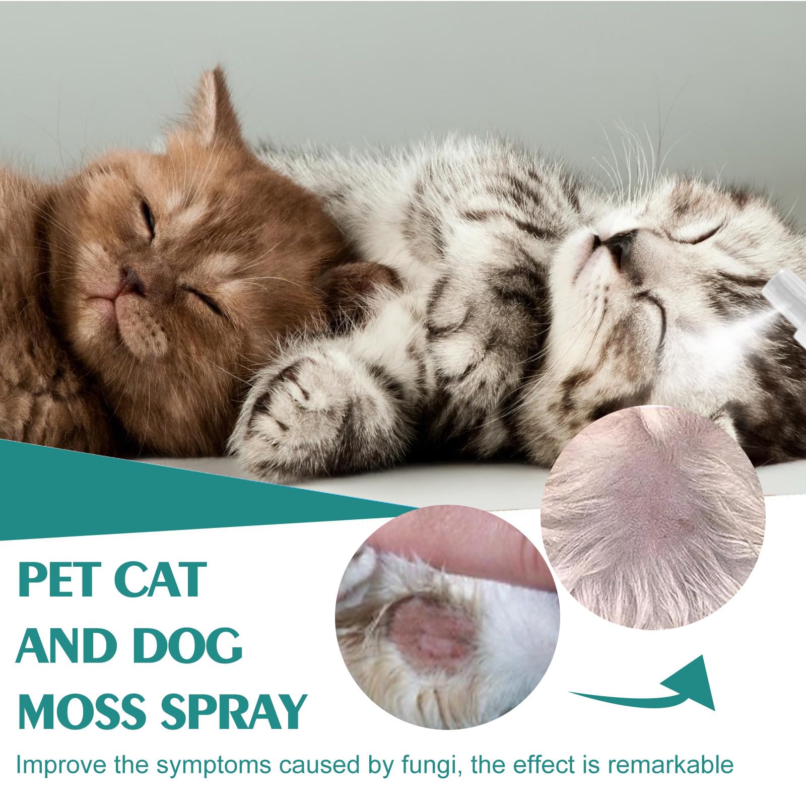 Spray Antiseptique pour Chiens et Chats,Spray de Guérison pour Animaux,Gel Soin des Plaies pour Animaux,Spray de Cicatrisation pour Animaux de Compagnie,1PC