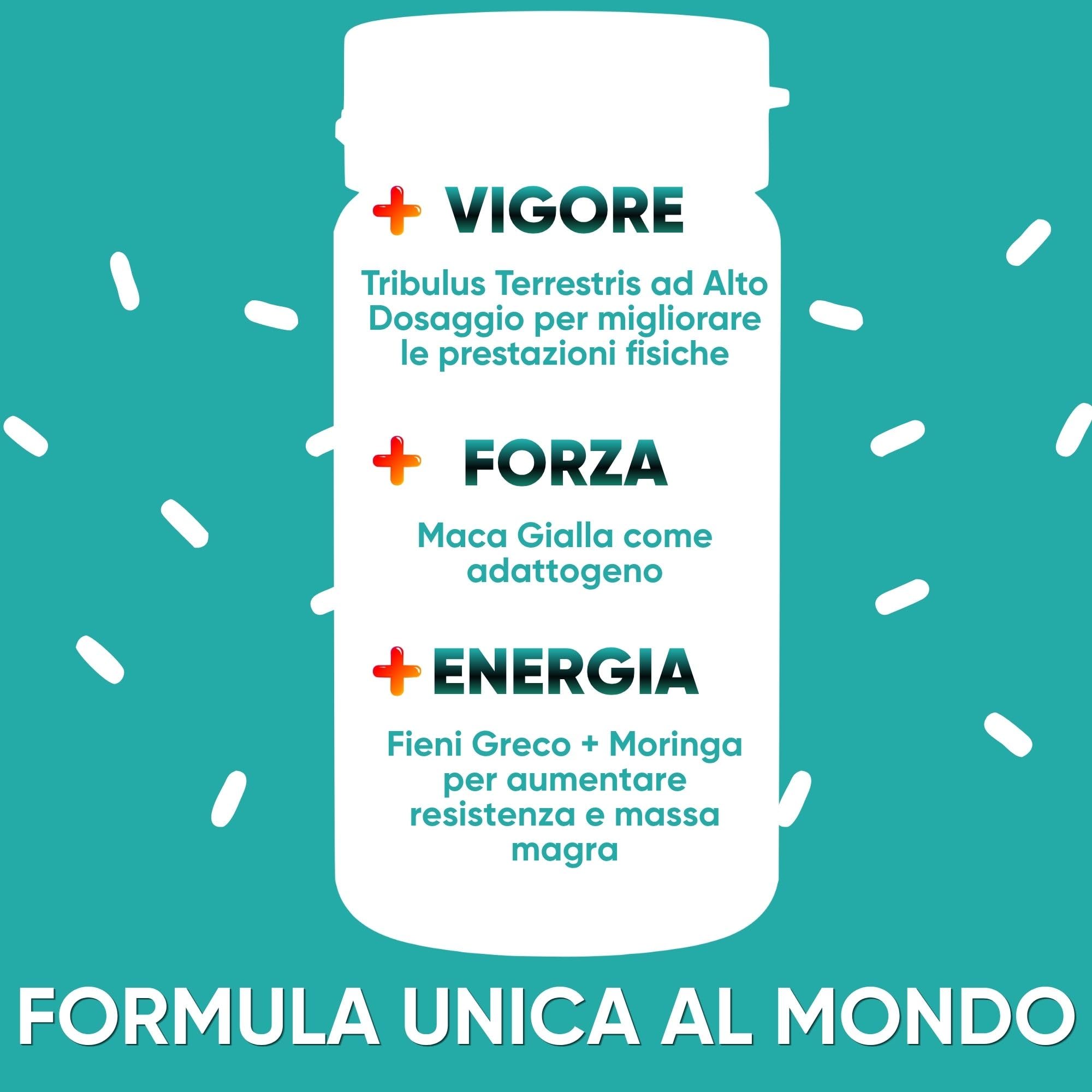 Tribulus Terrestris 90% Saponine Steroidee Maca Fieno Greco | Integratore Energia Booster Moringa BIO | Sostegno Massa Muscolare | Tribulus Alto Dosaggio | 100% Naturale | RedMoringa® (60 Capsule)