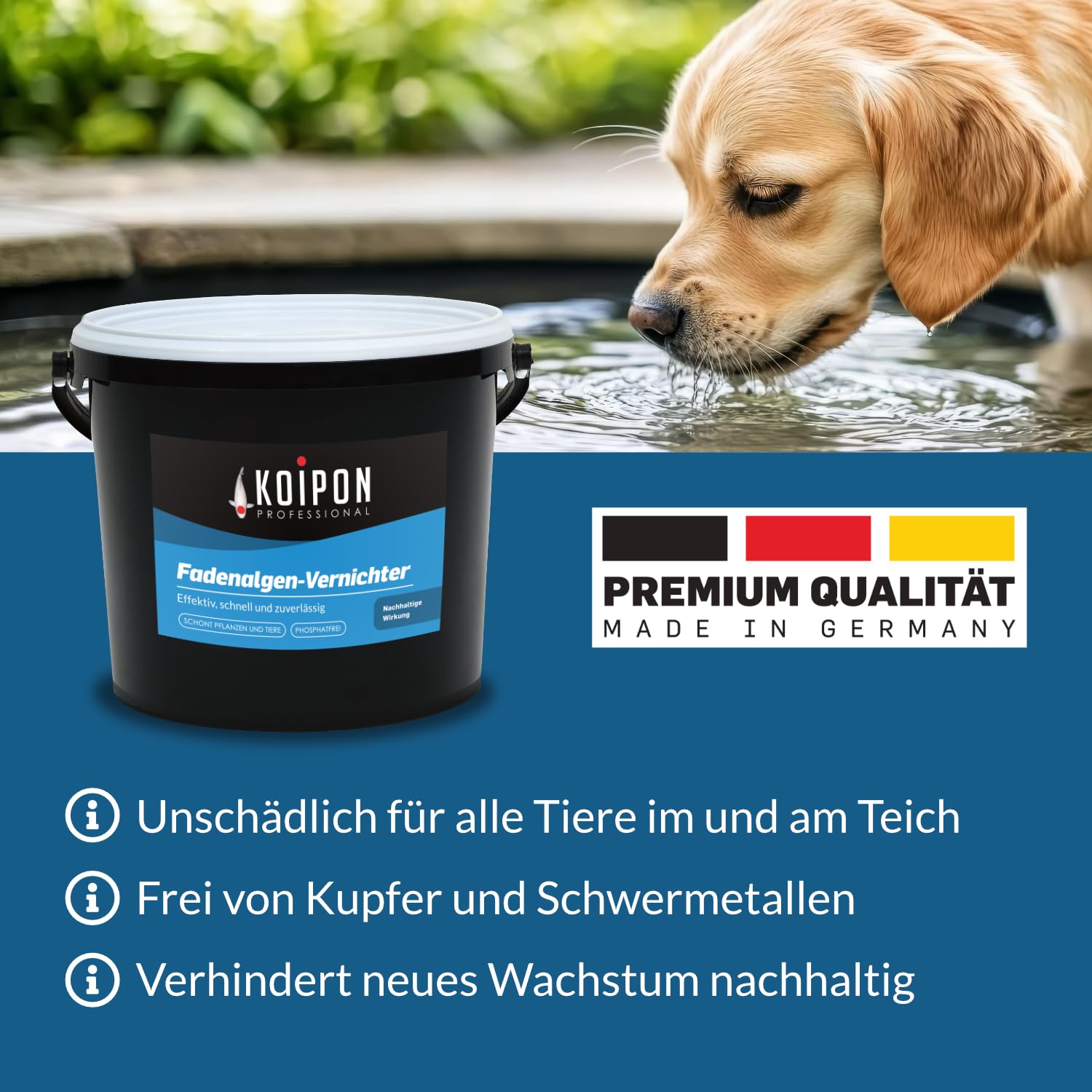 KOIPON Fadenalgen-Vernichter 1 kg, Phosphatfreie Algenbekämpfung, Fadenalgenvernichter gegen Algenwachstum und Fadenalgen im Gartenteich