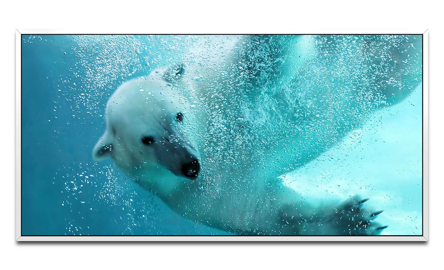 schwimmender Eisbär ca. 130x70cm Wandbild inklusive Schattenfugenrahmen weiss - Panorama Leinwand Bild XXL Format Wandbilder Wohnzimmer Wohnung Deko Kunstdrucke