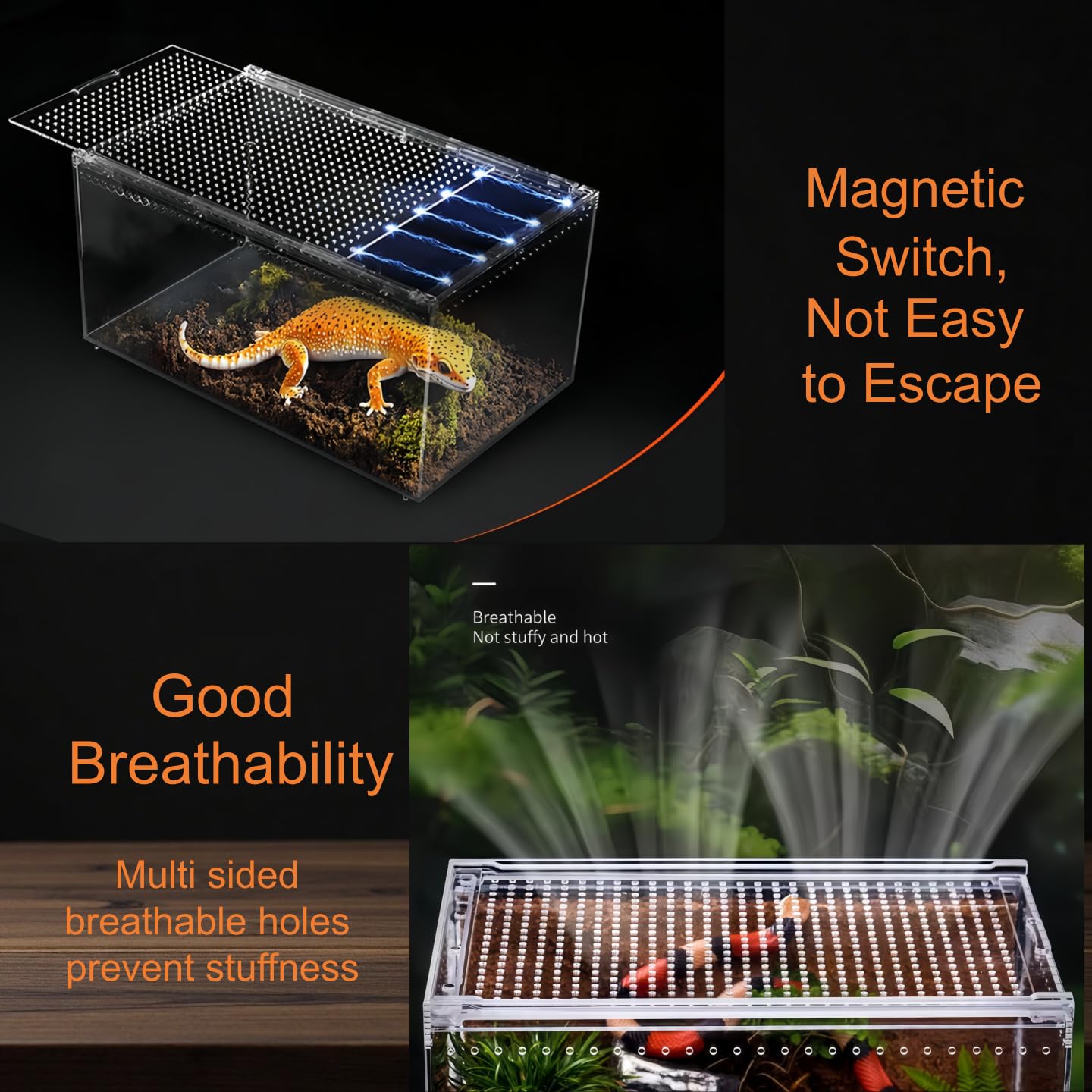 Reptilien Terrarium Box Magnetisches Acryl heimchenbox Terrarium stapelbares Reptil Fütterungsbox für Spinnen Skorpion Käfer Gehörnter Frosch