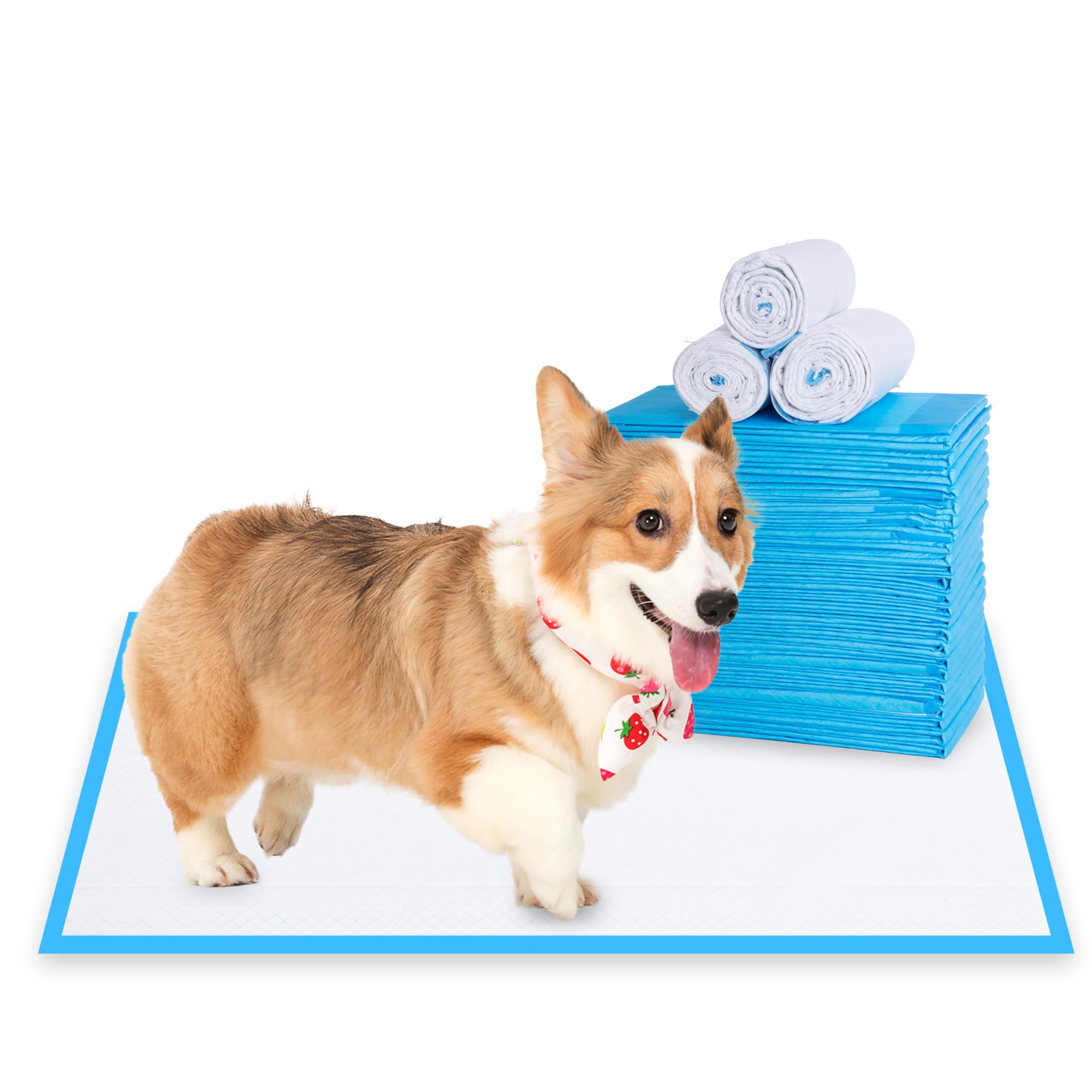 WISPET Extra-Large Dog Pee Pads and Puppy Training Pads 28”x34”-40 Count - Super Absorbent & Heavy Duty XLarge Potty Pads for Dogs and Pet Pads (B08DCX18CS) Amazon Price History, Amazon Price Tracker