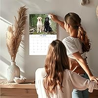 Vista 1522 de Razas de Perros 2017