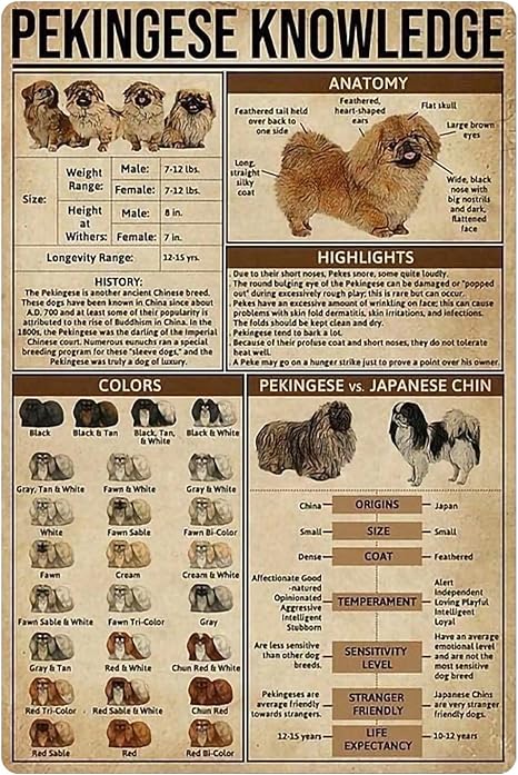 限定版 犬の知識金属錫サインコッカースパニエル解剖学色アルミニウムポスター農場学校教育ホームキッチンクラブガレージ壁装飾プラーク12x8インチ Lcoo Edu In 限定版 犬の知識金属錫サインコッカースパニエル解剖学色アルミニウムポスター農場学校教育ホームキッチンクラブガレージ壁装飾プラーク12x8インチ Lcoo Edu In