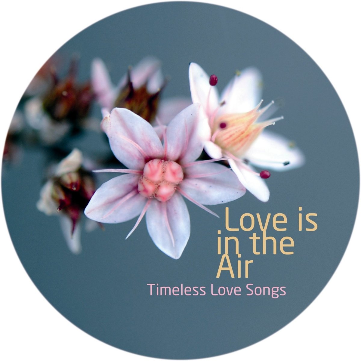 Love is in the air Collectif