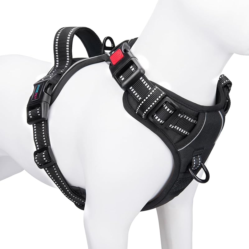 Peitoral para Cães PHOEPET com Material Refletivo e 2 Pontos de Guia, Preto (Black), Small