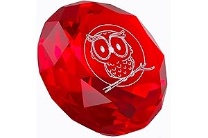 Owl Gifts Paper Weights