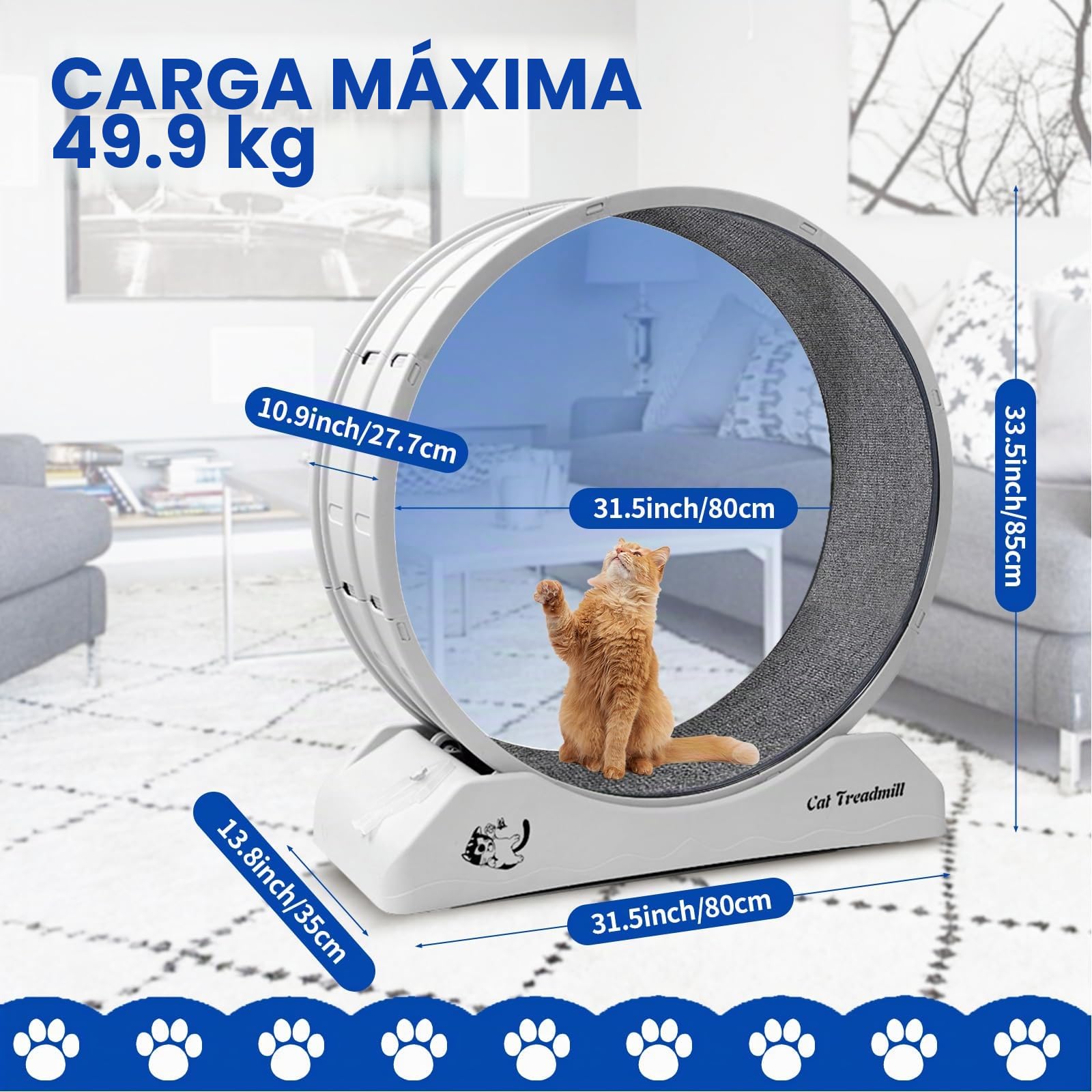 homegroove Rueda de gato de 80 cm para gatos de interior, ruedas de entrenamiento para gatos con cinta de correr y pista con revestimiento mate para gatitos para bajar de peso