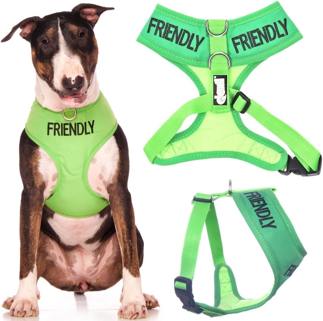 Dexil FRIENDLY (Known as Friendly to all) Green Colour Coded Non-Pull Front and Back D Ring Padded and Waterproof Vest Dog Harness PREVENTS Accidents By Warning Others Of Your Dog In Advance (L)