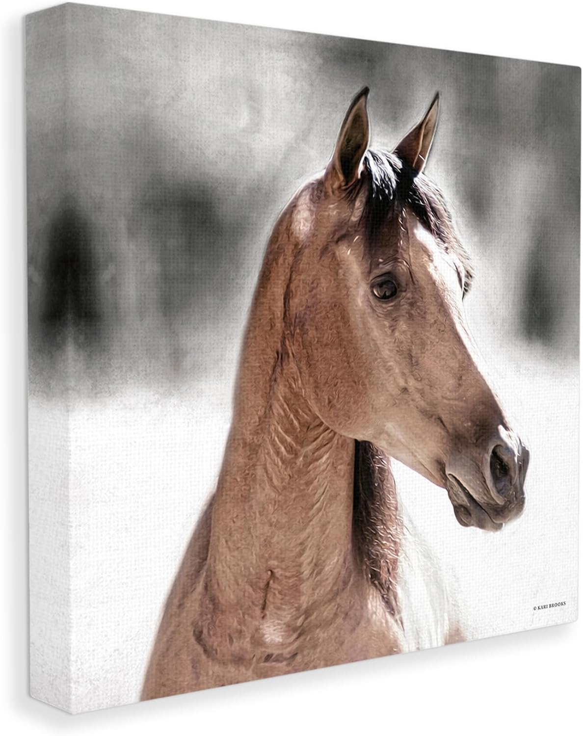 Stupell Industries Brown Foal in Snow Canvas Wall Art by Kari Brooks