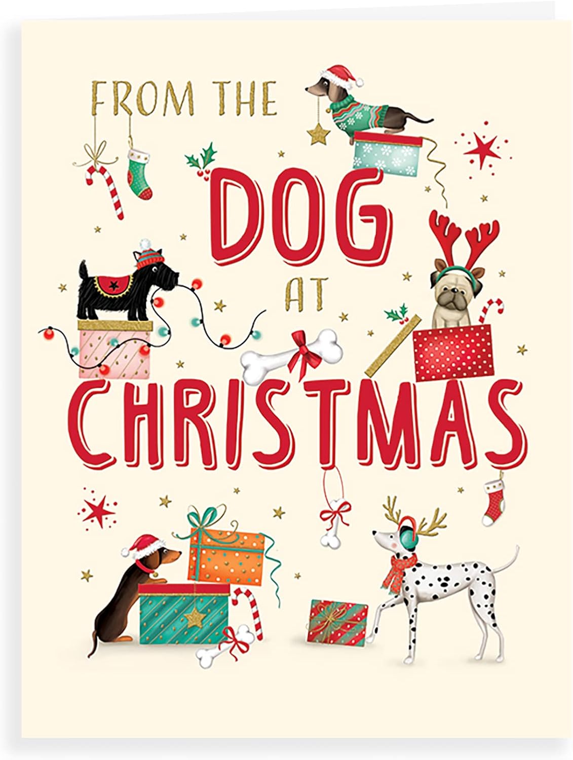 Character Christmas Card From The Dog - 8 x 6 inches - Piccadilly Greetings