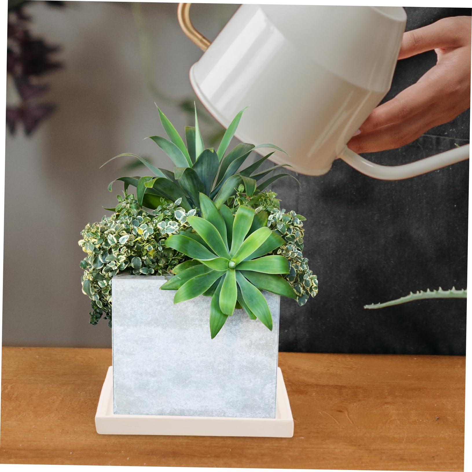 Toyvian Quadratischer Keramik Pflanzuntersetzer Großer Wasserauffangschale für Zimmerpflanzen Blumentopf Abtropfschale Rechteckig Robustes Terrassen Pflanzenzubehör