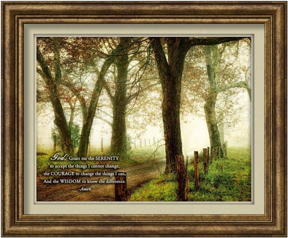 Carpentree Serenity Prayer Classic Framed Art
