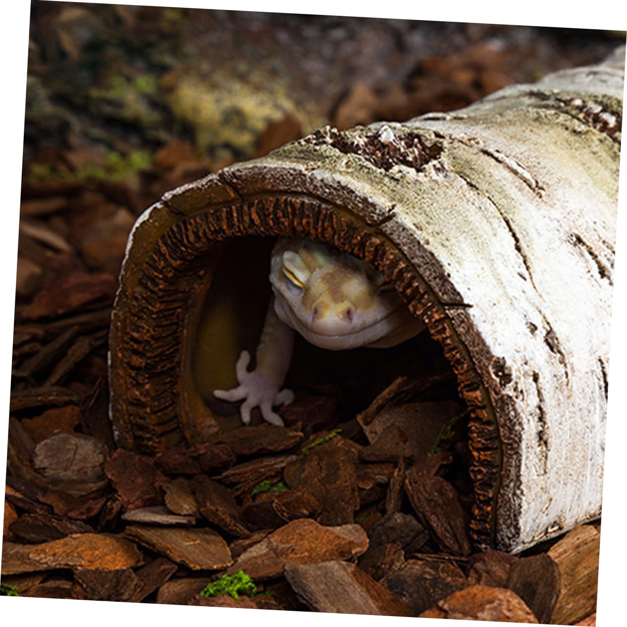 Cueva de Corteza de Árbol para Reptiles, Tronco de Resina