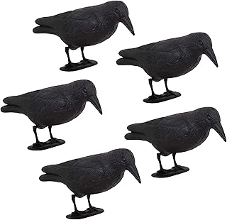 SPRINGOS Spaventapasseri con corvo nero e 5 beccucci neri