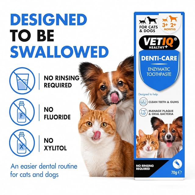 Foto 5 de 7 de VETIQ Denti-Care - Pasta dental enzimática para gatos a partir de 3 meses y perros de 2 meses en adelante…