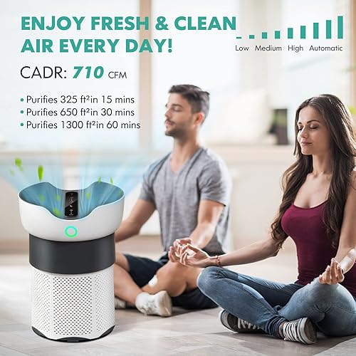 Miniatura 4 de PETSITE Purificador de aire de 1300 pies cuadrados para habitación grande filtro de aire HEPA verdadero H13 con 4 velocidades de ventilador