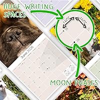 Vista 275 de Razas de Perros 2017