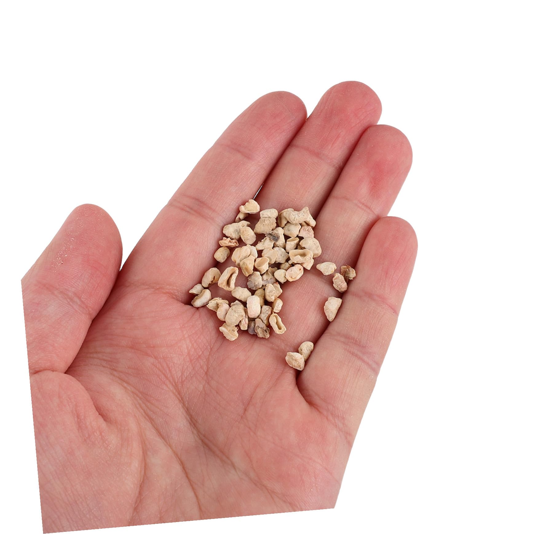 Sosoport 1000g Lettiera di Pannocchie di Mais Naturale Lettiera per Criceti e Roditori Materiale di Nidificazione Senza Sostanze Chimiche per Habitat Interni di Animali Domestici
