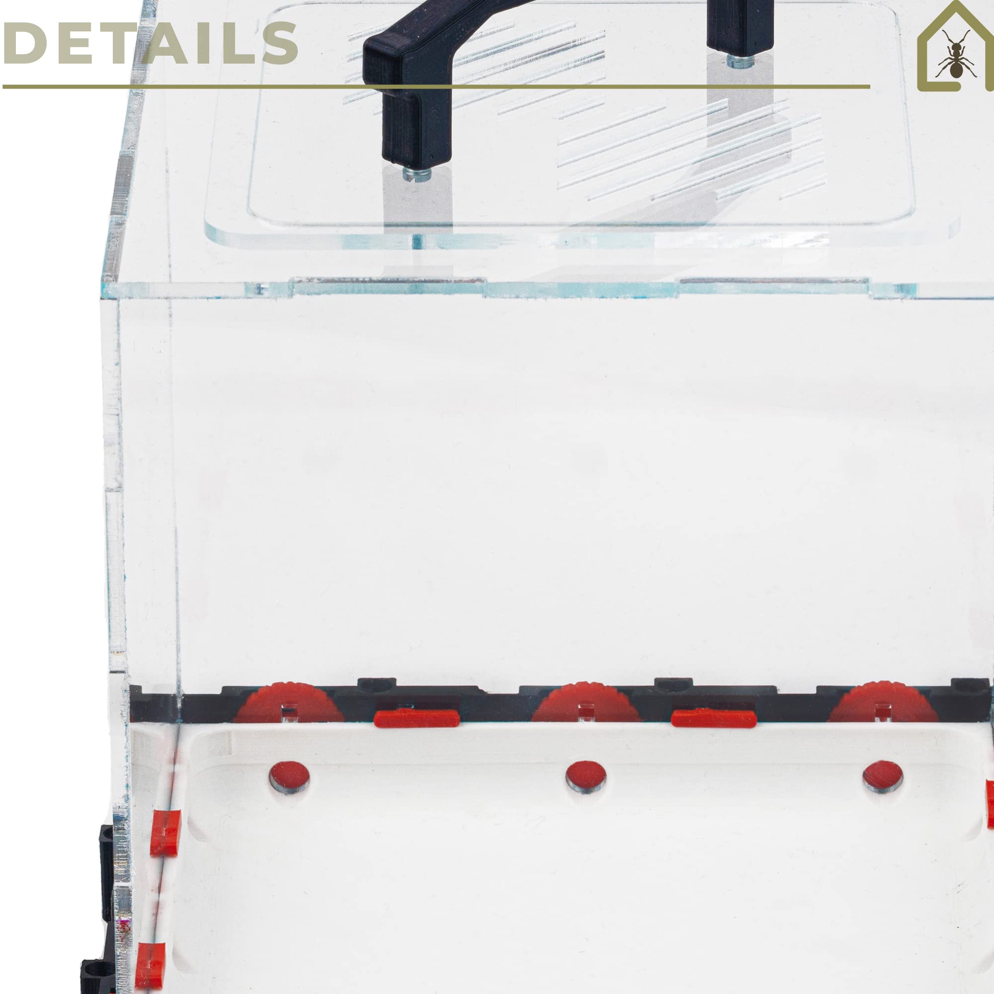 Anthouse.es - Caja de Forrajeo para Hormigueros Modulares 3D - QBIK Nona - Terrario Colonias de Hormigas Grandes - Sistema Ergonómico y Fácil de Ampliar - 18,78x18,78x16,70 cm