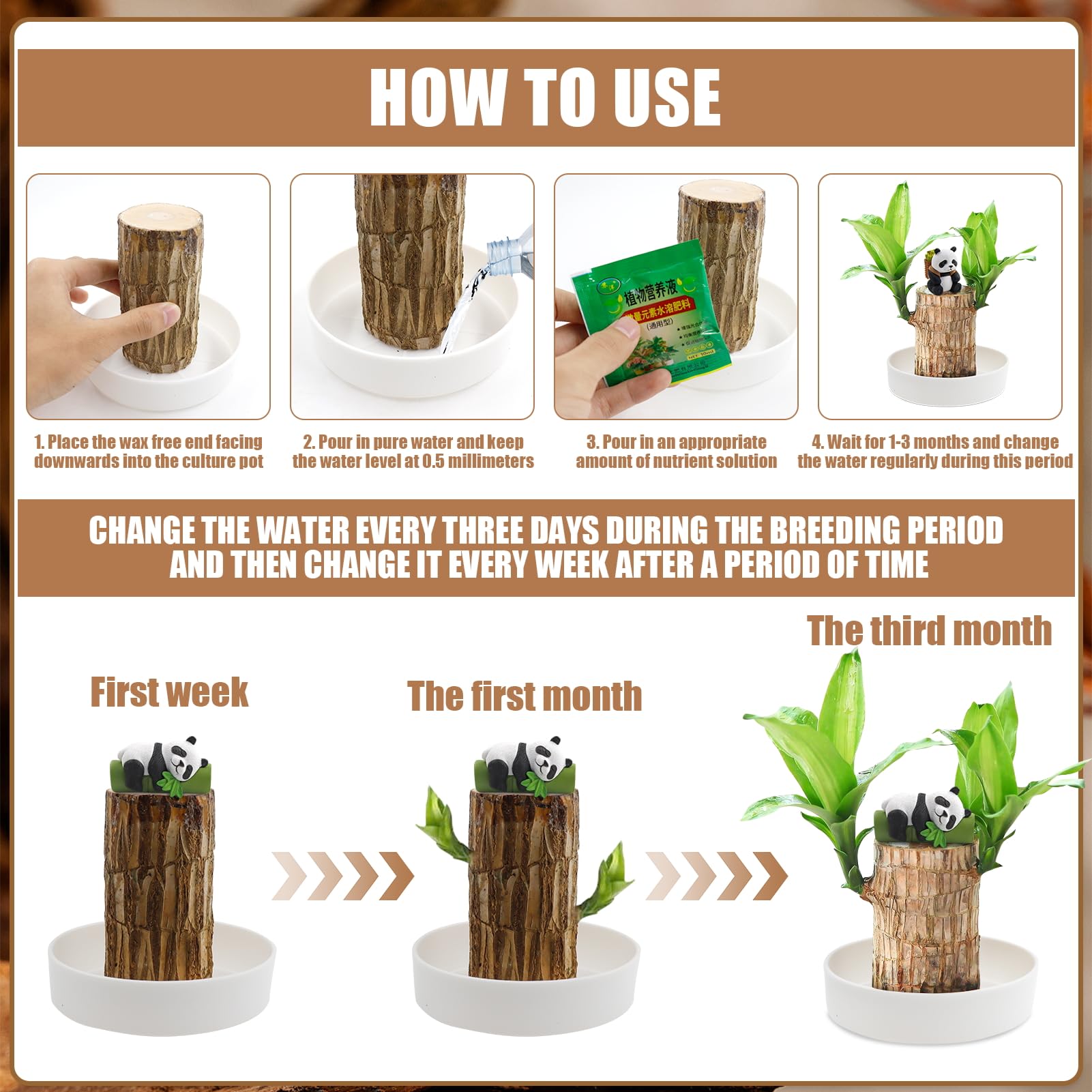 Lot de 2 Plantes en Bois Porte-bonheur Brésilien,Bois Porte-bonheur du Brésil,Ensemble de Plantes en Bois Porte-bonheur du Brésil avec Pot et 2 Ornements de Panda,Souche de Plante Hydroponique en Pot