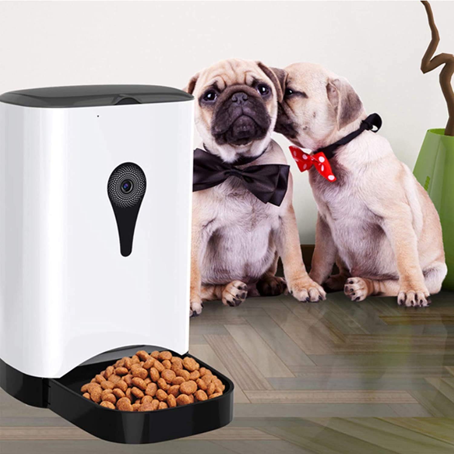 Alimentatore automatico per gatti, distributore di cibo per cani automatico da 4.5L, 1-4 pasti al giorno Recorder vocale e alimentatore per controllo remoto per animali domestici di piccole e me