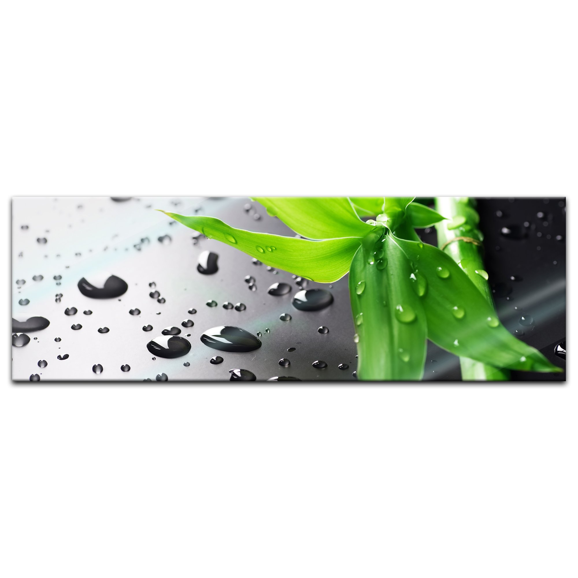 Bilderdepot24 Glasbild - Frischer Bambus - 90x30 cm - Deko Glas - Wandbild aus Glas - Bild auf Glas - moderne Glasbilder - Glasfoto - Echtglas